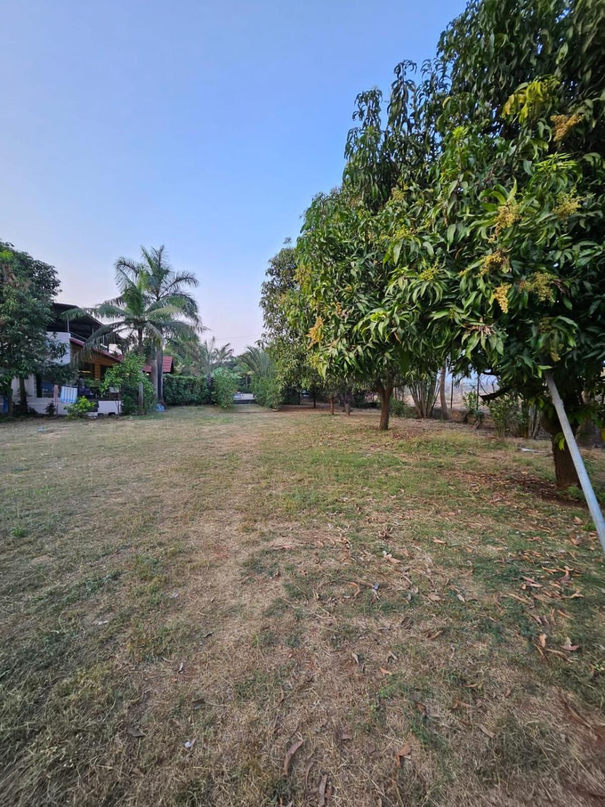 Patil'S Greenwoods Farmhouse Νάβι Μουμπάι Εξωτερικό φωτογραφία